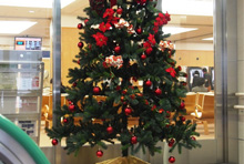 新外来診療棟に設置されたクリスマスツリー