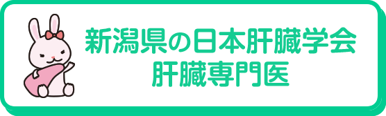 新潟県の日本肝臓学会肝臓専門医