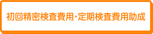 初回精密検査定期試験検査費用