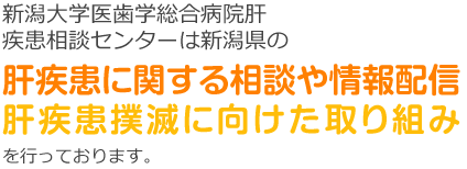 肝疾患に関する相談や情報配信・肝疾患撲滅に向けた取り組み