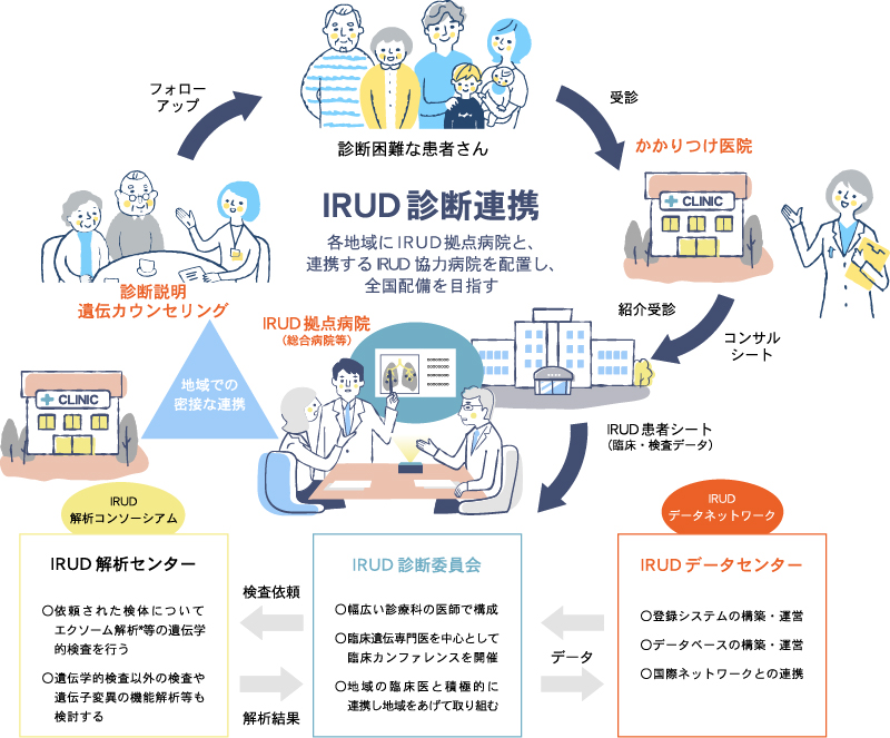 IRUD診断体制の図